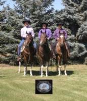 Winners of the Lethbridge Spring Rodeo team penning competition.  Horses from left to right are Baileys Inkling, Cheros Even Luckier, and Bold Horizon.  All are by Cherokees Trophy